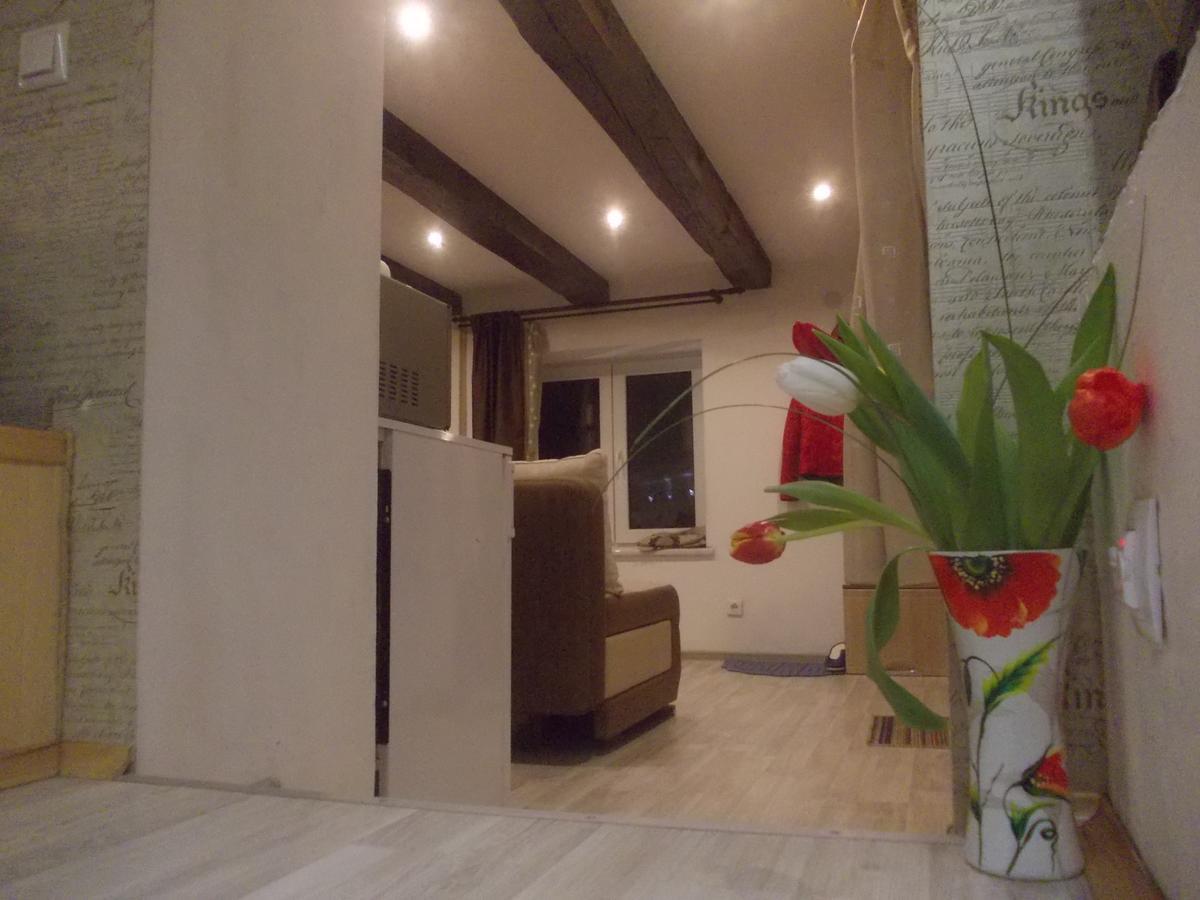 Lviv Amazing Rooftop Apartment Ngoại thất bức ảnh